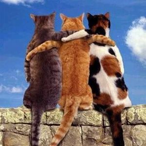 Meet your Posher, Clara lea